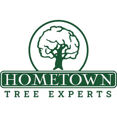 Hometown Tree Experts